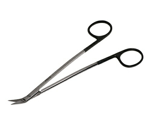 日本フリッツメディコ 扁桃腺剪刀　ダンディースーパー　17.5cm B028-433V 1個