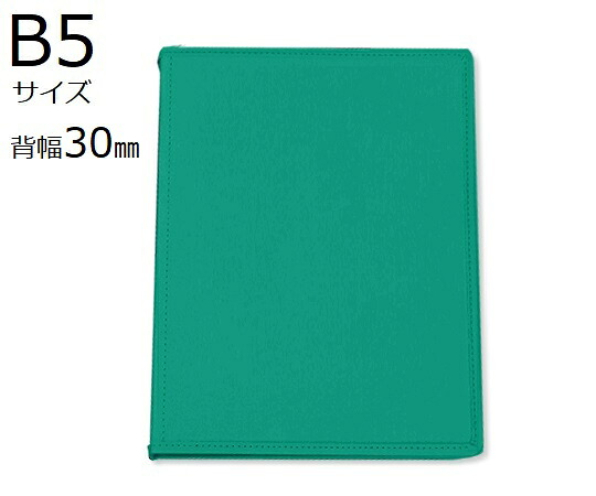 店内全品ポイント5倍★要エントリー★サンリーフ カルテブック(スタンダードタイプ)　B5　26穴　グリーン　10冊入　 SK-530-26GR 1箱(10冊入)｜Shop de clinic店