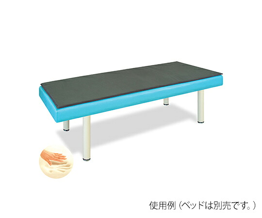 高田臥榻 低手向かいつや消し 幅65×長さ180×奥ふかさ2糎 結核症-1238 1個