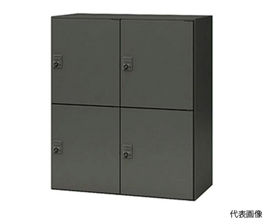 ナイキ（NAIKI） 個人的ロッカー （4人用） （隠し付） CW-0911PLPD4-BB 1台