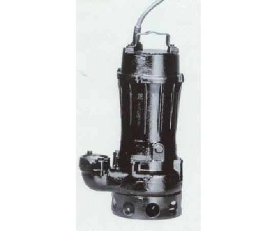 店内全品ポイント5倍★要エントリー★寺田ポンプ製作所 汚物用水中ポンプ 7.5kw 全揚程16.7m 60Hz TCN6-675L 60HZ 1台|Shop de clinic店