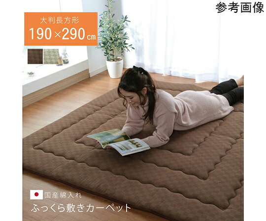 コンテック ブラックライト　ハレーションカットフィルター付き　高出力（フォーカスコントロール）タイプ　コンセントタイプ　385nm UV-SVGNC385-01FCDC 1個