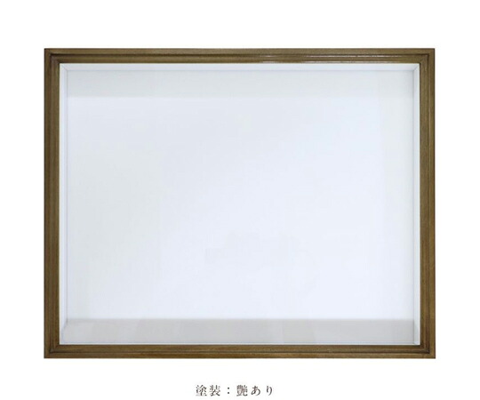 店内全品ポイント5倍★要エントリー★アズワン ほお材 N型 ドイツ箱(標本箱) 艶有 UVガラス 260 1箱|Shop de clinic店