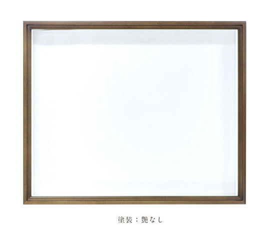 店内全品ポイント5倍★要エントリー★アズワン ほお材 N型 ドイツ箱(標本箱) 塗装艶消 UVガラス 260F 1箱|Shop de clinic店