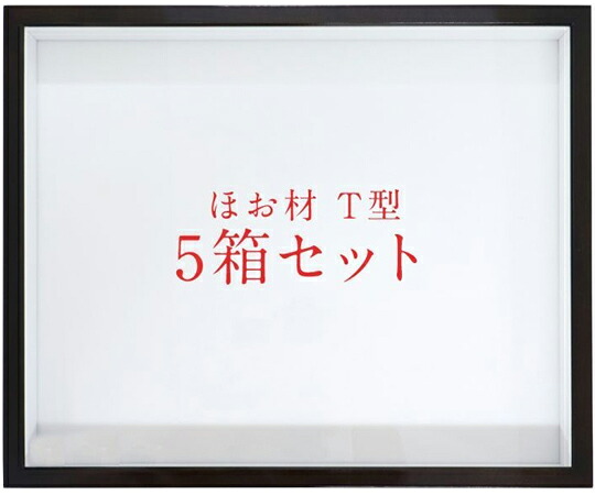 アズワン ほお材　T型　ドイツ箱　5箱セット　UVガラス 455 1セット(5箱入)