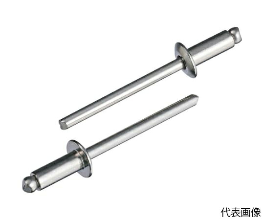 店内全品ポイント5倍★要エントリー★ロブテックス エビ ブラインドリベット（丸頭）ステンレス/ステンレス製 5-5（1000本入） LST55 1箱(1000本入)｜Shop de clinic店 23,659円