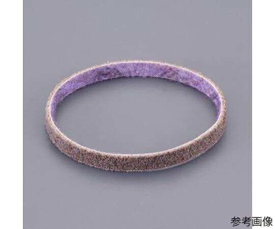 アズワン レジンベルト(#120/10本) 20×520mm EA163MK-120 1箱(10本入)