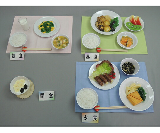 イワイサンプル 妊婦食 献立て表 すべり出し （羅針儀なし） 41-1 1仕掛ける