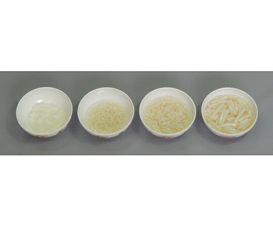 イワイサンプル 離乳食・発達段階別素材単品 うどん 4種/1式セット （磁石なし） 44R-X 1セット