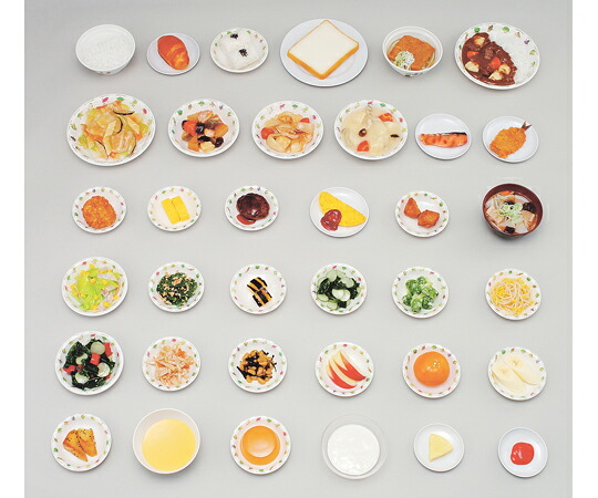 イワイサンプル 学校給食指導用調理モデル Aセット （磁石なし） 54 1セット
