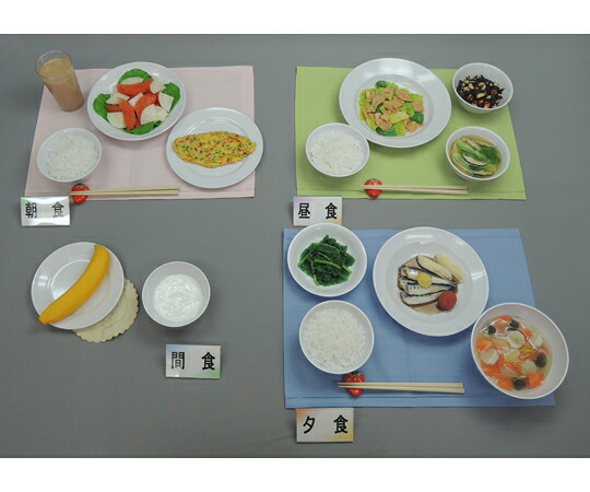 イワイサンプル 健康な高齢者の献立 1800kcal ごはんセット （磁石なし） 58-A 1セット