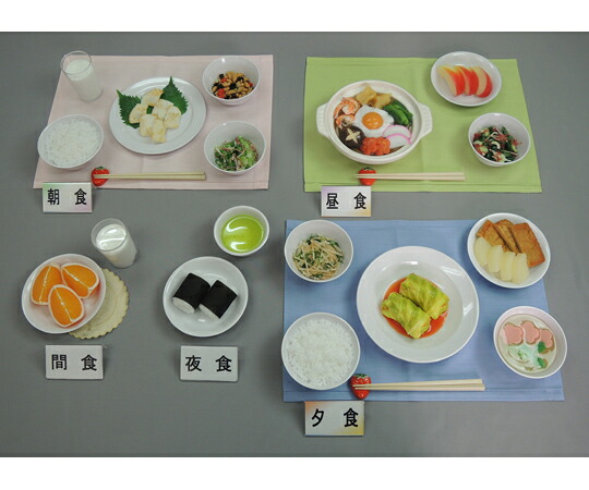イワイサンプル 慢性肝炎（体重60kg） 1式セット （磁石なし） 66 1セット