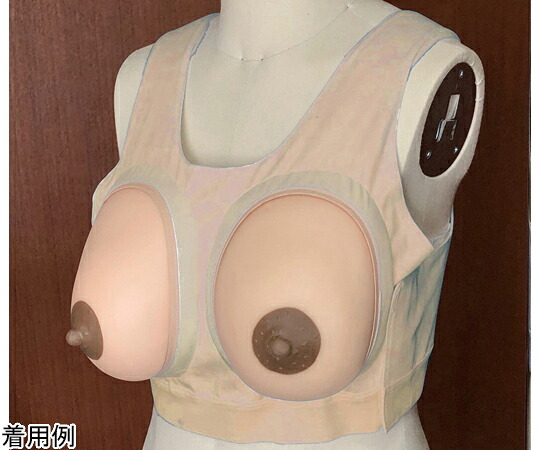 レジーナ 産褥期乳ぶさひな形とり備える型 1組2個入 BMS-12 1組(2個入)