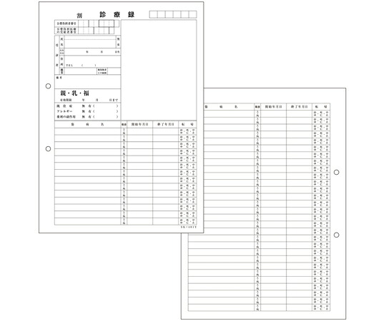 金鵄製作所 カルテ1号 A4 SK-401Y 穴あき　500枚入 41912-001 1箱(500枚入)