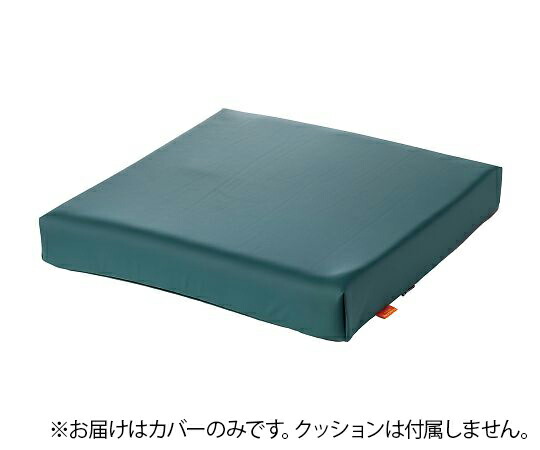 タカノ タカノ座布団wipeR4用覆いかぶせる TCC-REW4 1個