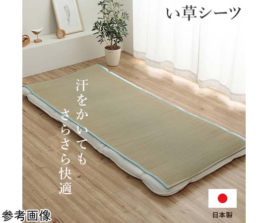 アズワン い草敷き妙 青み 虚蝉ダブル 約110×200糎 1122920040901 1個