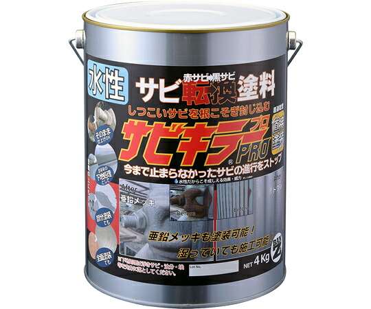 BAN-ZI サビ殺害者PRO 4kg A-SKP/K04S 1個
