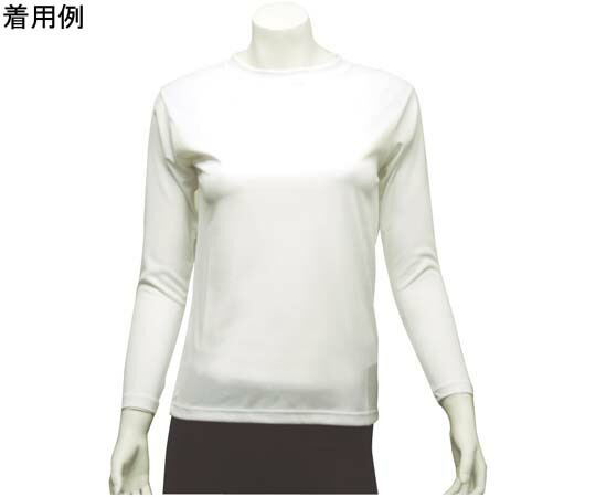 ワンポイント ベーシックTシャツ レディース 長袖 ホワイト LL 9010L-white-LL 1個