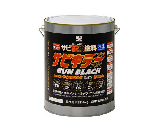 BANｰZI サビキラープロガンブラック 4kg 火器メタ A-SKPG/K04B 1個