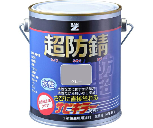 店内全品ポイント5倍★要エントリー★BANｰZI サビキラーカラー 1kg グレー B-SKC/K01C1 1個｜Shop de clinic店