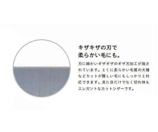 日本の首都理器 撥ねのける＆セニングシザー 夢見鳥続きもの 5.5inch 144粍 刃渡り59粍 46g EZ-550F 1本