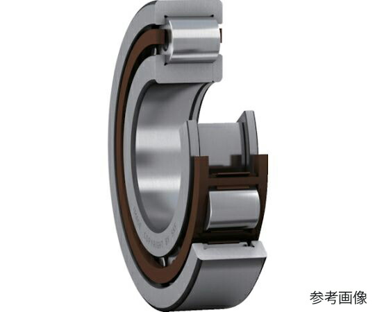 日本エスケイエフ 単列円筒ころ軸受 NUP型 内径110mmX外径200mmX幅38mm NUP 222 ECP 1個
