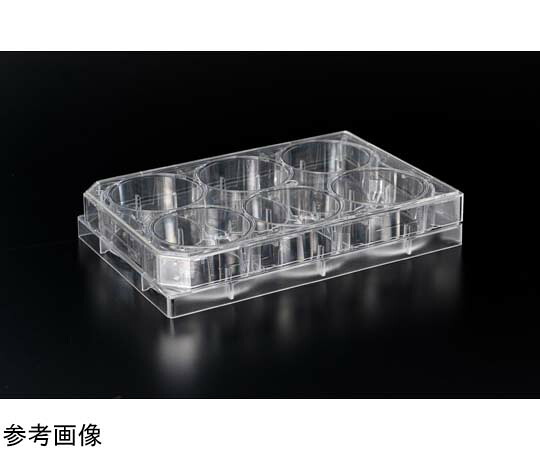 AGCテクノ水飲み・IWAKI ポリ-L-リジンコート マイクロ一皿 6well 20枚入 4810-040N 1箱(20枚入) 花・ガーデン・DIY-実験用素材-研究・実験用品
