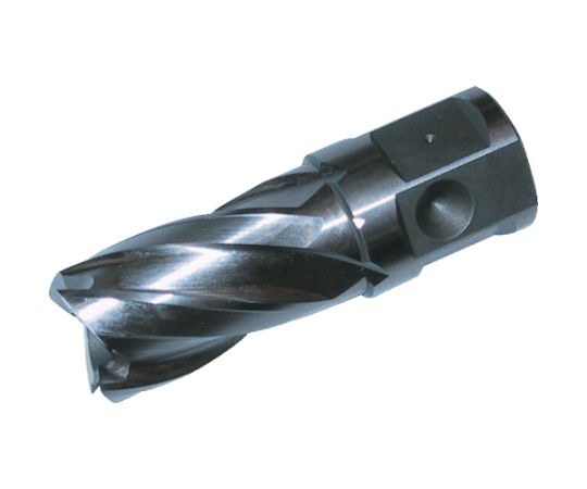 店内全品ポイント5倍★要エントリー★大見工業 25SQハイスカッター 刃径24.0mm HCSQ240 1本|Shop de clinic店