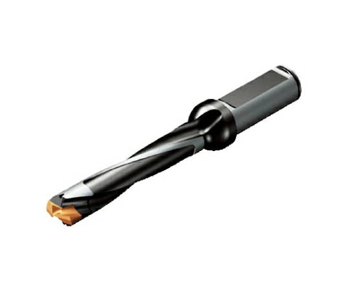 サンドビック コロドリル870 ヘッド交換式ドリル（446） 87011008L165 1セット