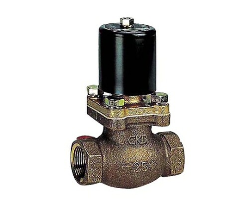 店内全品ポイント5倍★要エントリー★CKD パイロット式2ポート電磁弁 PVS25A210NOAC100V 1セット｜Shop de clinic店