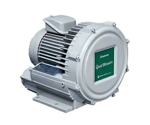昭和電機 電動送風機 渦流式高圧シリーズガストブロアU2Vシリーズ0.1kW U2V10S 1セット