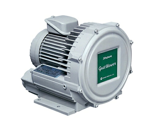 昭和電機 電動送風機 渦流式高圧シリーズガストブロアU2V続きもの0.2kW U2V20S 1仕掛ける