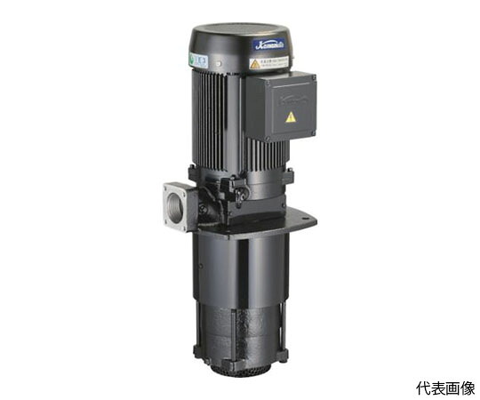 店内全品ポイント5倍★要エントリー★川本製作所 浸漬式多段クーラントポンプ　0.75kw　全揚程5m RCD-40AE0.75T4 1台｜Shop de clinic店