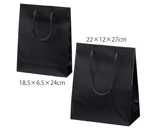 アズワン マット貼り紙袋　黒　18.5×6.5×24cm　50枚 61-781-96-9 1箱(50枚入)
