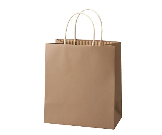 アズワン ST カラーズ アーモンド 240×140×270mm 1箱（10枚×10包入） XZT68309 1箱(10枚×10包入)