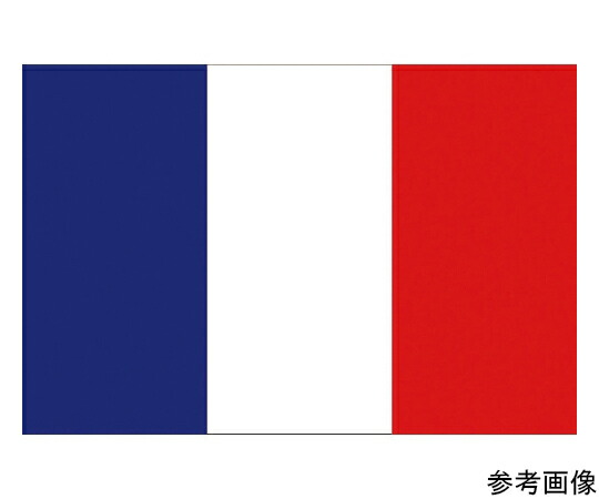 日本の首都製旗 軍旗No.1（70×105糎） フランス共和国 416647 1枚