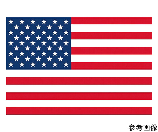 日本の首都製旗 軍旗No.1（70×105糎） 亜米利加 416104 1枚