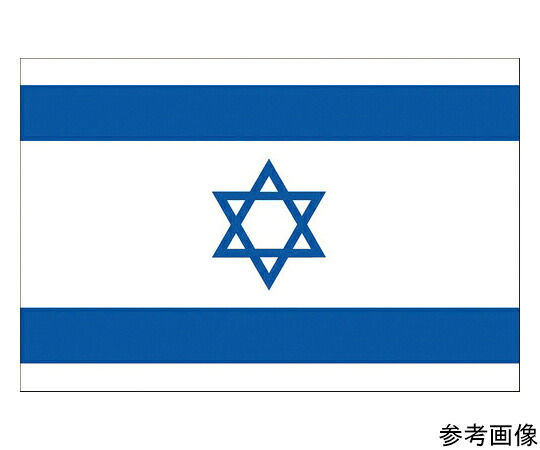 日本の首都製旗 軍旗No.1（70×105糎） イスラエル 416124 1枚