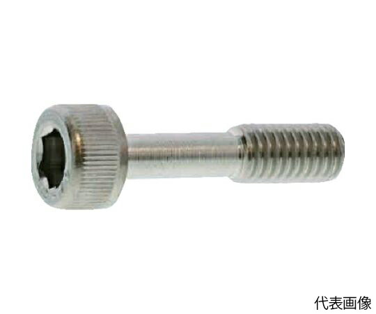 サンコーインダストリー ステンレス CAP（脱落防止） 4×12 （500本入） A0-02-J050-0040-0120-00 1箱(500本入)