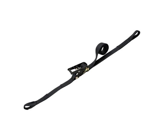 アズワン ベルト荷締機（両端アイ型） 50mm×10.0m/1010kg EA982SH-40 1個 17,626円