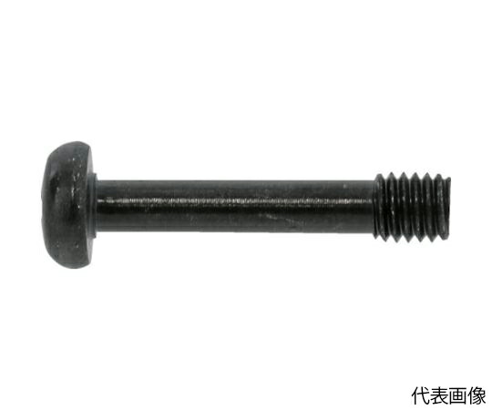 サンコーインダストリー 三価黒いこと（+）ナベ脱落押しとどめる螺旋釘 5×25×5 （500本入） 00-00-J050-0050X0250-04 1箱(500本入)