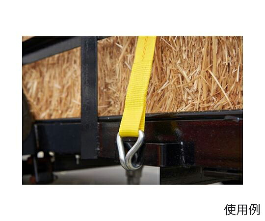 店内全品ポイント5倍★要エントリー★アズワン 荷締機(ラチェット式/ロングハンドル) 1500kg/50mm×12m EA982BC-22 1組|Shop de clinic店