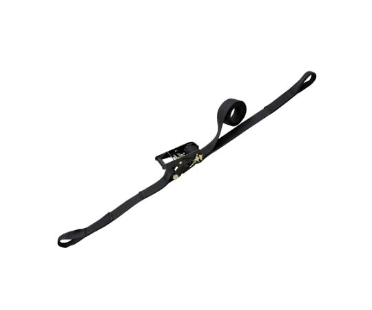 アズワン ベルト荷締機（両端アイ型） 50mm×10.0m/764kg EA982SH-30 1個