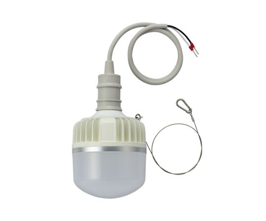 アズワン AC100-200V/80W/電球/LED（ソケット一体型） EA758XN-5 1個