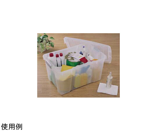 店内全品ポイント5倍★要エントリー★アイリスオーヤマ バックルボックス NSK-210|Shop de clinic店