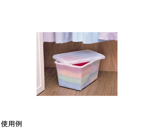 アイリスオーヤマ ナチュラルクローゼットキャリー ナチュラル 10個 N-550 1箱(10個入)