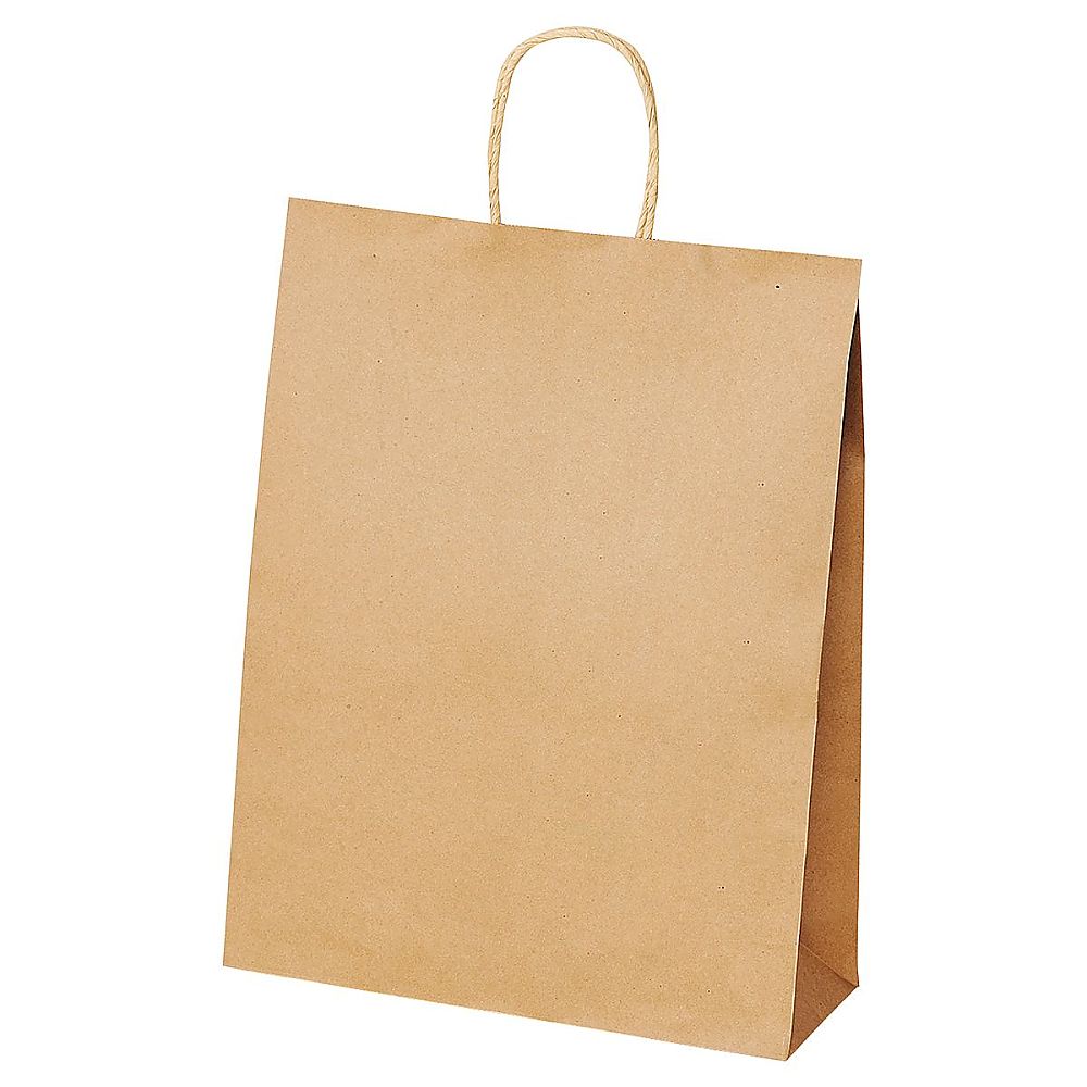 アズワン 手提紙袋 丸ヒモ 再生紙タイプ 幅32×奥行11.5×高さ41cm 300枚 61-812-49-5 1セット(300枚入) 10,654円