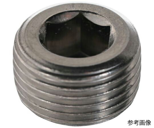 トラスコ中山 テーパープラグ ステンレス鋼PT1/4 80本入 ヘキサゴンパック S080-0114 1缶(80本入)