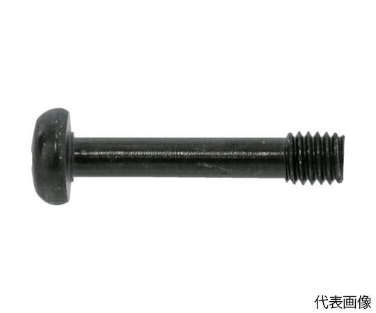 サンコーインダストリー 三価ブラック（+）ナベ脱落防止ビス 5×15×5 （800本入） 1箱(800本入) 00-00-J050-0050X0150-04