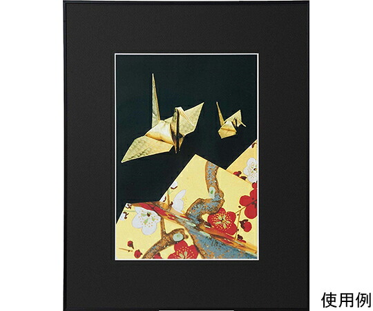 ケンコー・トキナー アルミ額縁　画廊　全紙　ガラス入り　ブラック 1箱 AGR-Z-BK 11,455円